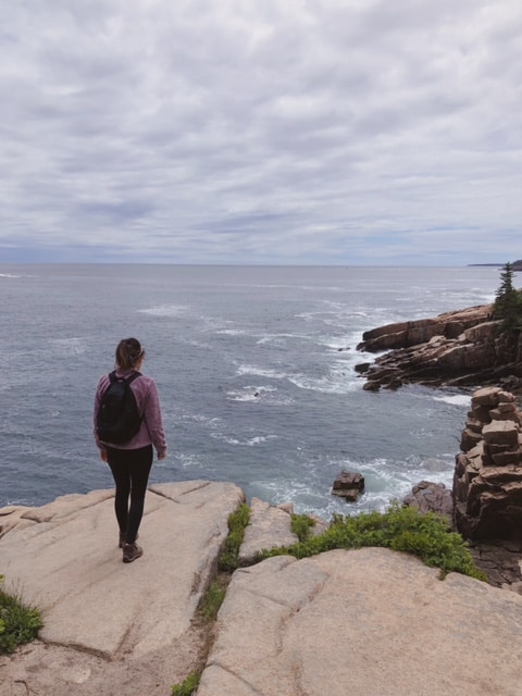 Scenic Views along Ocean Path in Acadia National Park