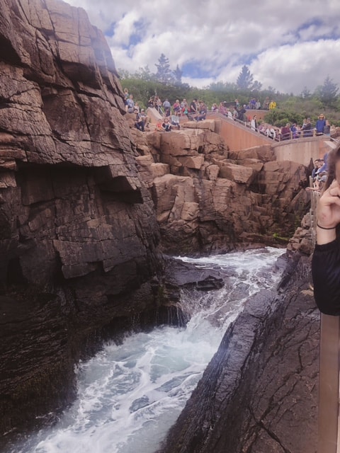 Thunder Hole at Acadia National Park