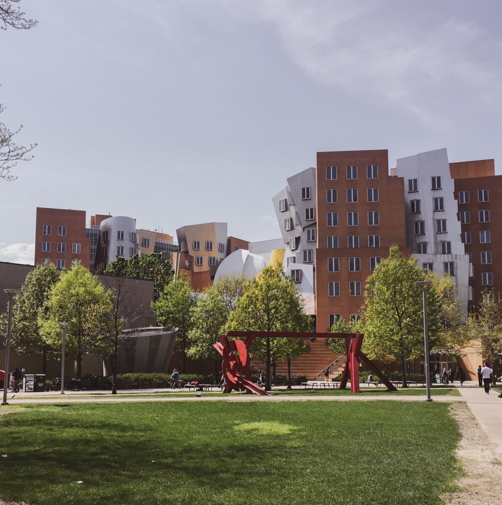 MIT campus