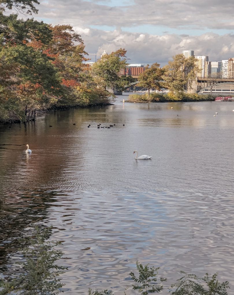 One Day in Boston: Top 10 Places to See 24 hours in Boston, best things to do: Charles River Esplanade