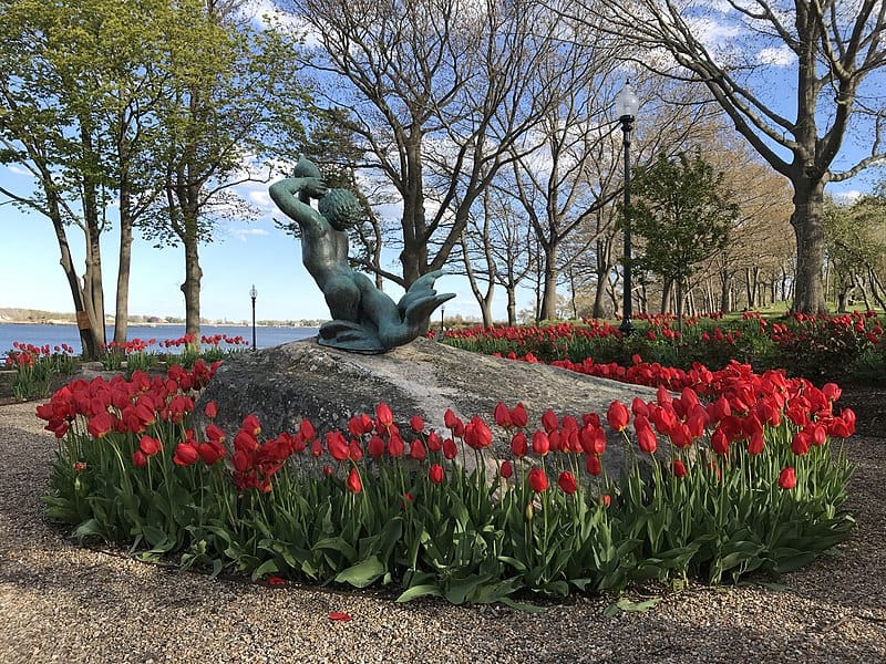 Things to Do with Kids in Gloucester One of the best things to do with kids in Gloucester, MA is picnic and play at Stage Fort Park.