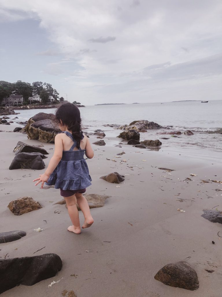 Family day trips in Massachusetts: Coastal scene