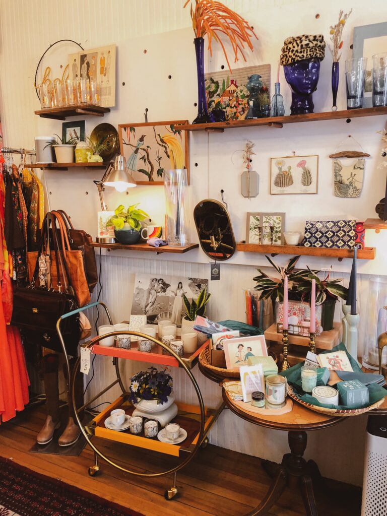 Vintanthro Modern Store in New Haven