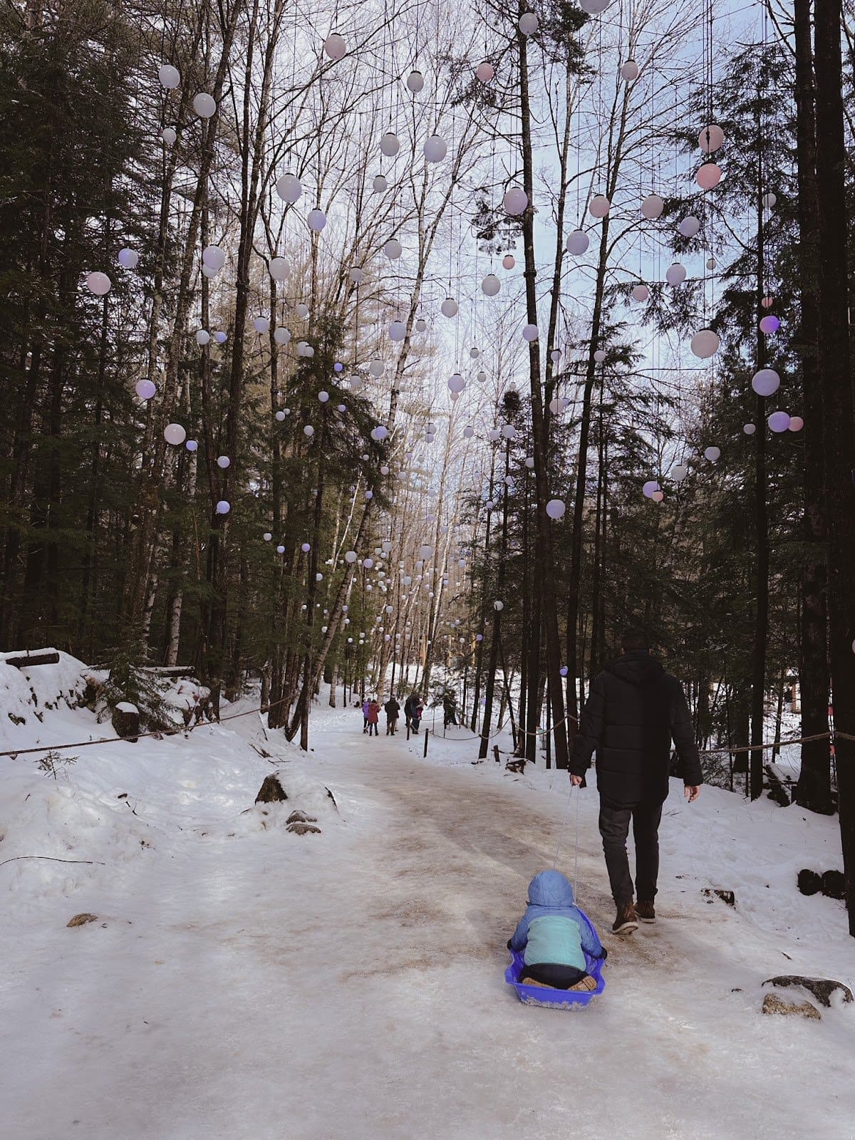 Mystic Forest Light Path at Ice Castles in New Hampshire