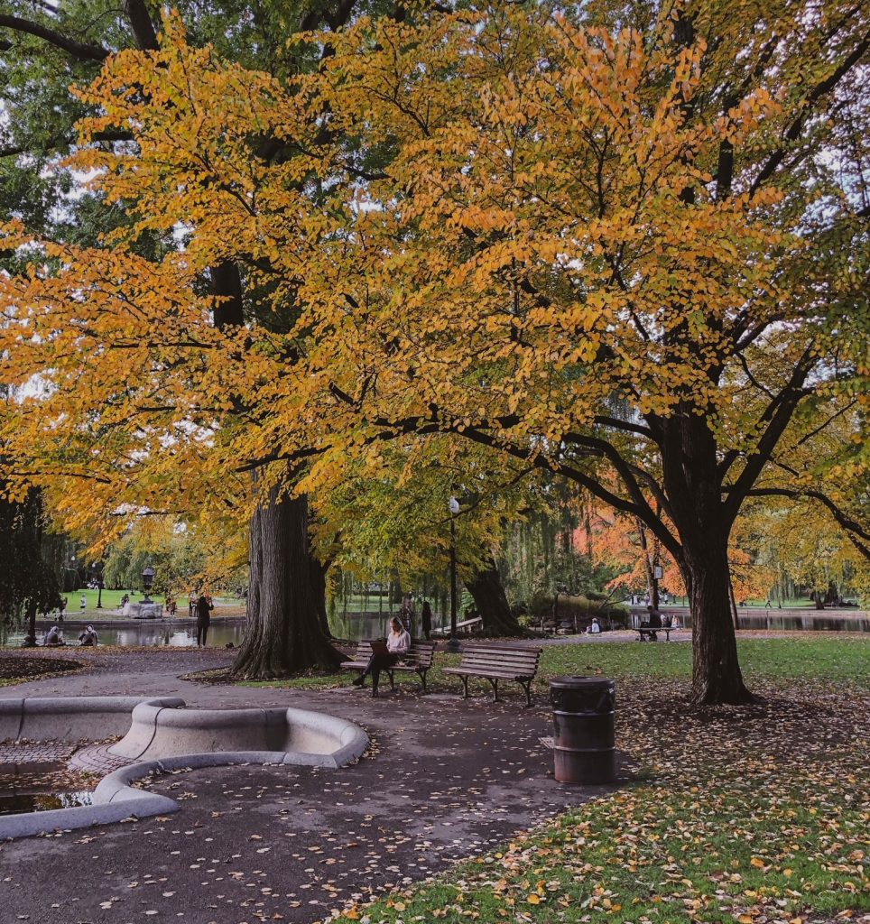 Boston in the fall