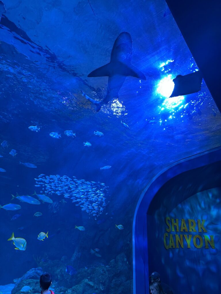 St. Louis Aquarium